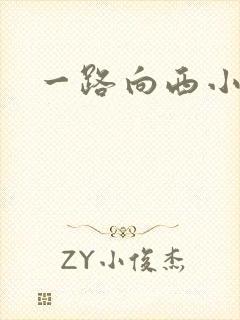 一路向西小说