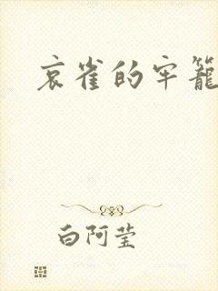 哀雀的牢笼封面