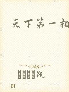 天下第一相书封面