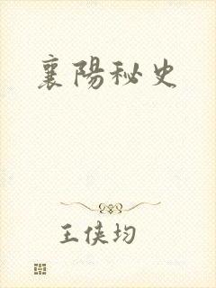 襄阳秘史
