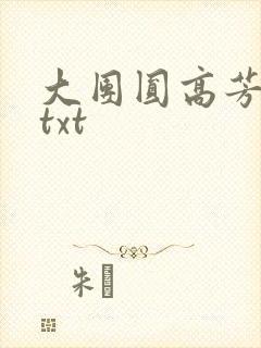 大团圆高芳小说txt