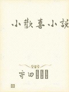 小欢喜小说