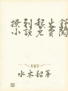 撩到起火舒漾的小说免费阅读全文