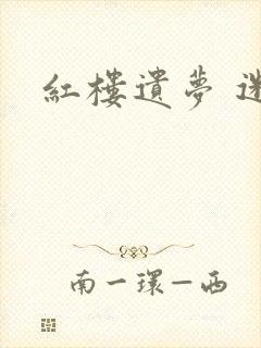 红楼遗梦 迷男封面