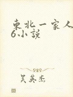 东北一家人1一6小说