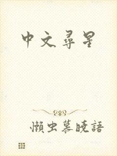 中文寻星