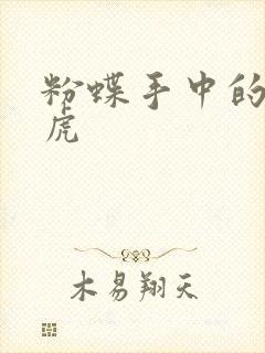 粉蝶手中的纸老虎