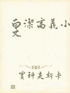 白洁高义小说全文