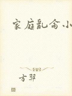 家庭乱仑小说封面