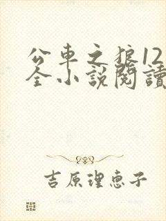 公车之狼12集全小说阅读