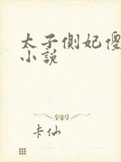 太子侧妃傻乎乎小说