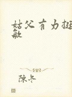 姑父有力挺送赵敏