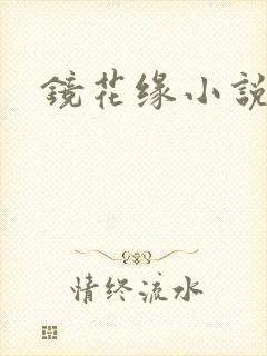 镜花缘小说