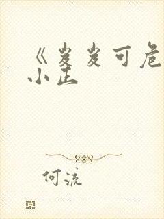 《岌岌可危》夏小正封面