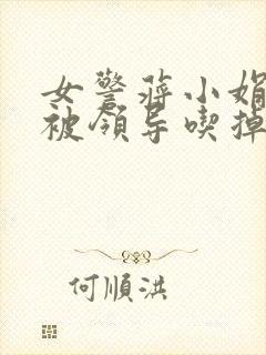 女警蒋小娟的奶被领导吃掉了封面