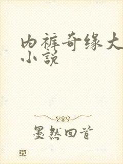 内裤奇缘大团结小说