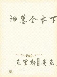 神墓全本下载封面