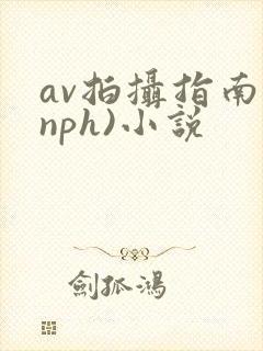 av拍摄指南(nph)小说