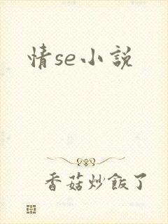 情se小说