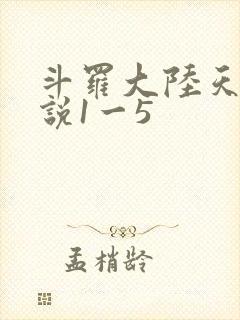 斗罗大陆天狂传说1一5