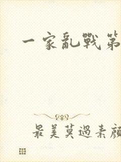 一家乱战第5部封面