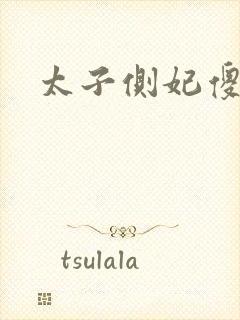 太子侧妃傻乎乎