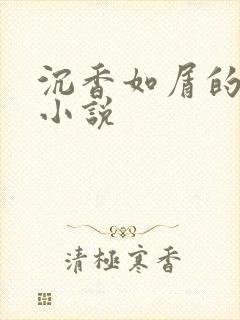 沉香如屑的原著小说