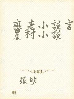 恋老小说言情网农村小说