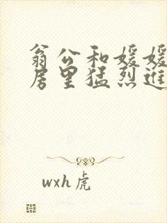 翁公和媛媛在厨房里猛烈进出