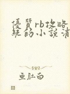 优质rb攻略系统的小说消防员封面