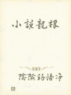 小说龙根