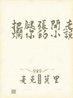 把腿张开老子臊烂你的小说