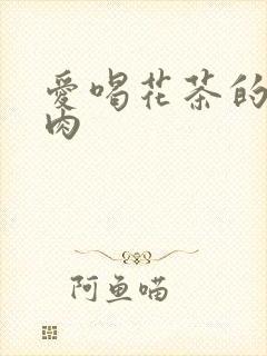 爱喝花茶的小酥肉