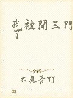 我被开三门痛晕了封面