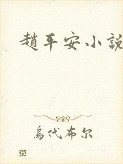 赵平安小说主角封面