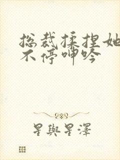 总裁揉捏她两乳不停呻吟