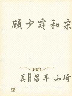 顾少霆和宋斯曼