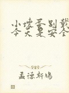 小坏蛋别戴套了今天是安全期封面