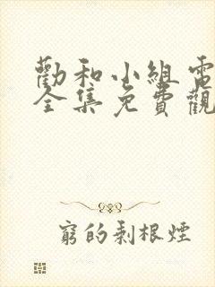 劝和小组电视剧全集免费观看