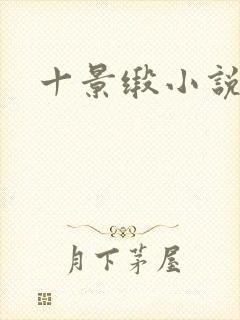 十景缎小说