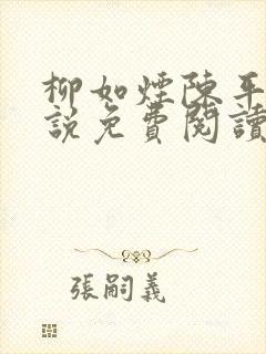 柳如烟陈平安小说免费阅读全文封面