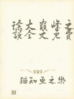 徐大巅峰之路小说全文免费阅读