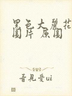 黑色大丽花真实图片 原图封面