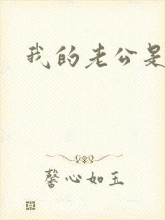 我的老公是冥王