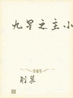 九星之主小说封面