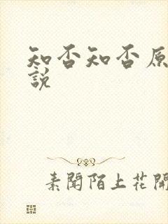 知否知否原著小说