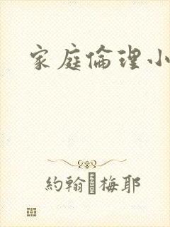 家庭伦理小说封面