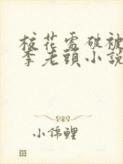 校花处破被灌满李老头小说