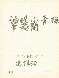 酒酿小青梅po笔趣阁