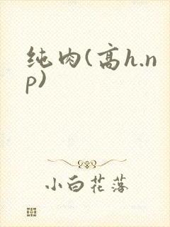 纯肉(高h.np)封面